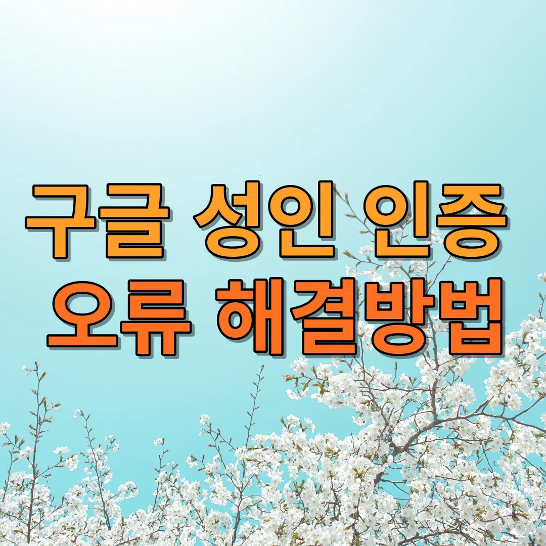 구글 성인 인증 오류 해결 방법