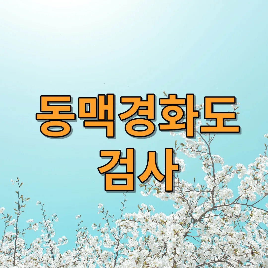 동맥경화도 검사의 중요성과 유의사항