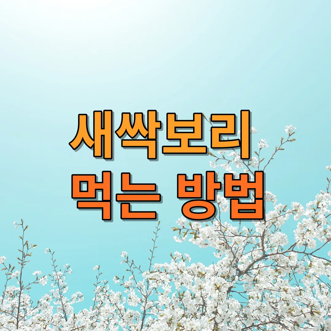 새싹보리 먹는 방법의 중요성