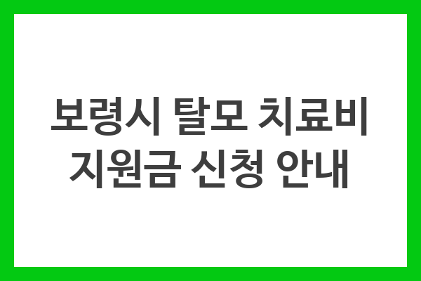 보령시 탈모 치료비 지원금 신청 안내